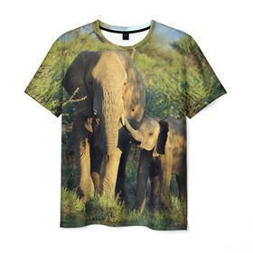 Мужская футболка 3D с принтом Слониха и слоненок в природе в Тюмени, 100% полиэфир | прямой крой, круглый вырез горловины, длина до линии бедер | Тематика изображения на принте: африка | африканский | бивни | большой | гигант джунгли | зоопарк | индийский | индия | лесной великан | мамонт | огромный | саванна | сафари | серый | слон | слоненок | слониха | стадо | уши | хобот