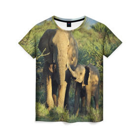 Женская футболка 3D с принтом Слониха и слоненок в природе в Тюмени, 100% полиэфир ( синтетическое хлопкоподобное полотно) | прямой крой, круглый вырез горловины, длина до линии бедер | африка | африканский | бивни | большой | гигант джунгли | зоопарк | индийский | индия | лесной великан | мамонт | огромный | саванна | сафари | серый | слон | слоненок | слониха | стадо | уши | хобот