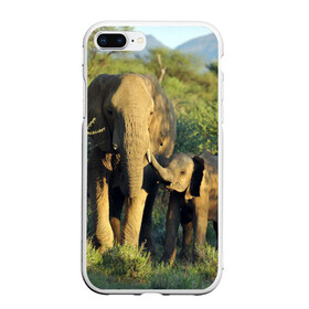 Чехол для iPhone 7Plus/8 Plus матовый с принтом Слониха и слоненок в природе в Тюмени, Силикон | Область печати: задняя сторона чехла, без боковых панелей | Тематика изображения на принте: африка | африканский | бивни | большой | гигант джунгли | зоопарк | индийский | индия | лесной великан | мамонт | огромный | саванна | сафари | серый | слон | слоненок | слониха | стадо | уши | хобот