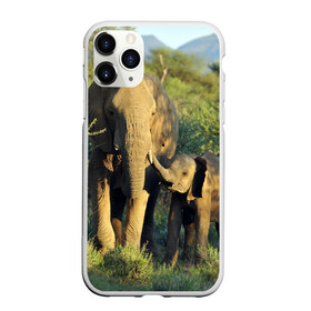Чехол для iPhone 11 Pro матовый с принтом Слониха и слоненок в природе в Тюмени, Силикон |  | африка | африканский | бивни | большой | гигант джунгли | зоопарк | индийский | индия | лесной великан | мамонт | огромный | саванна | сафари | серый | слон | слоненок | слониха | стадо | уши | хобот