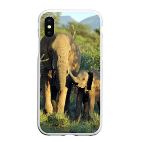 Чехол для iPhone XS Max матовый с принтом Слониха и слоненок в природе в Тюмени, Силикон | Область печати: задняя сторона чехла, без боковых панелей | африка | африканский | бивни | большой | гигант джунгли | зоопарк | индийский | индия | лесной великан | мамонт | огромный | саванна | сафари | серый | слон | слоненок | слониха | стадо | уши | хобот