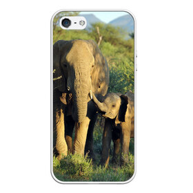 Чехол для iPhone 5/5S матовый с принтом Слониха и слоненок в природе в Тюмени, Силикон | Область печати: задняя сторона чехла, без боковых панелей | африка | африканский | бивни | большой | гигант джунгли | зоопарк | индийский | индия | лесной великан | мамонт | огромный | саванна | сафари | серый | слон | слоненок | слониха | стадо | уши | хобот