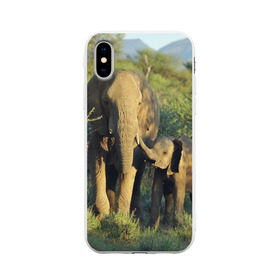 Чехол для Apple iPhone X силиконовый матовый с принтом Слониха и слоненок в природе в Тюмени, Силикон | Печать на задней стороне чехла, без боковой панели | африка | африканский | бивни | большой | гигант джунгли | зоопарк | индийский | индия | лесной великан | мамонт | огромный | саванна | сафари | серый | слон | слоненок | слониха | стадо | уши | хобот