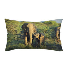 Подушка 3D антистресс с принтом Слониха и слоненок в природе в Тюмени, наволочка — 100% полиэстер, наполнитель — вспененный полистирол | состоит из подушки и наволочки на молнии | африка | африканский | бивни | большой | гигант джунгли | зоопарк | индийский | индия | лесной великан | мамонт | огромный | саванна | сафари | серый | слон | слоненок | слониха | стадо | уши | хобот