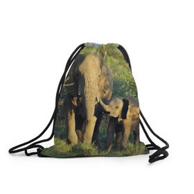 Рюкзак-мешок 3D с принтом Слониха и слоненок в природе в Тюмени, 100% полиэстер | плотность ткани — 200 г/м2, размер — 35 х 45 см; лямки — толстые шнурки, застежка на шнуровке, без карманов и подкладки | африка | африканский | бивни | большой | гигант джунгли | зоопарк | индийский | индия | лесной великан | мамонт | огромный | саванна | сафари | серый | слон | слоненок | слониха | стадо | уши | хобот