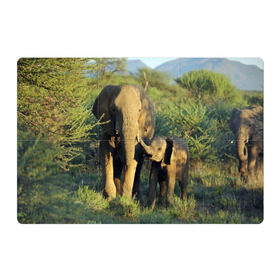 Магнитный плакат 3Х2 с принтом Слониха и слоненок в природе в Тюмени, Полимерный материал с магнитным слоем | 6 деталей размером 9*9 см | африка | африканский | бивни | большой | гигант джунгли | зоопарк | индийский | индия | лесной великан | мамонт | огромный | саванна | сафари | серый | слон | слоненок | слониха | стадо | уши | хобот