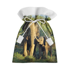 Подарочный 3D мешок с принтом Слониха и слоненок в природе в Тюмени, 100% полиэстер | Размер: 29*39 см | африка | африканский | бивни | большой | гигант джунгли | зоопарк | индийский | индия | лесной великан | мамонт | огромный | саванна | сафари | серый | слон | слоненок | слониха | стадо | уши | хобот