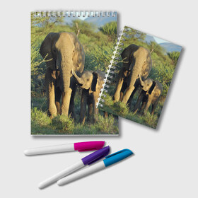 Блокнот с принтом Слониха и слоненок в природе в Тюмени, 100% бумага | 48 листов, плотность листов — 60 г/м2, плотность картонной обложки — 250 г/м2. Листы скреплены удобной пружинной спиралью. Цвет линий — светло-серый
 | африка | африканский | бивни | большой | гигант джунгли | зоопарк | индийский | индия | лесной великан | мамонт | огромный | саванна | сафари | серый | слон | слоненок | слониха | стадо | уши | хобот