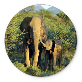Коврик круглый с принтом Слониха и слоненок в природе в Тюмени, резина и полиэстер | круглая форма, изображение наносится на всю лицевую часть | африка | африканский | бивни | большой | гигант джунгли | зоопарк | индийский | индия | лесной великан | мамонт | огромный | саванна | сафари | серый | слон | слоненок | слониха | стадо | уши | хобот