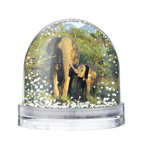 Снежный шар с принтом Слониха и слоненок в природе в Тюмени, Пластик | Изображение внутри шара печатается на глянцевой фотобумаге с двух сторон | африка | африканский | бивни | большой | гигант джунгли | зоопарк | индийский | индия | лесной великан | мамонт | огромный | саванна | сафари | серый | слон | слоненок | слониха | стадо | уши | хобот