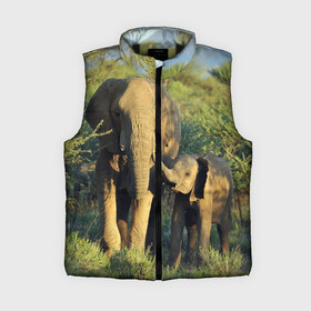 Женский жилет утепленный 3D с принтом Слониха и слоненок в природе в Тюмени,  |  | африка | африканский | бивни | большой | гигант джунгли | зоопарк | индийский | индия | лесной великан | мамонт | огромный | саванна | сафари | серый | слон | слоненок | слониха | стадо | уши | хобот