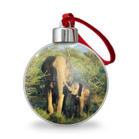 Ёлочный шар с принтом Слониха и слоненок в природе в Тюмени, Пластик | Диаметр: 77 мм | Тематика изображения на принте: африка | африканский | бивни | большой | гигант джунгли | зоопарк | индийский | индия | лесной великан | мамонт | огромный | саванна | сафари | серый | слон | слоненок | слониха | стадо | уши | хобот