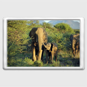 Магнит 45*70 с принтом Слониха и слоненок в природе в Тюмени, Пластик | Размер: 78*52 мм; Размер печати: 70*45 | африка | африканский | бивни | большой | гигант джунгли | зоопарк | индийский | индия | лесной великан | мамонт | огромный | саванна | сафари | серый | слон | слоненок | слониха | стадо | уши | хобот