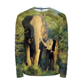 Мужской лонгслив 3D с принтом Слониха и слоненок в природе в Тюмени, 100% полиэстер | длинные рукава, круглый вырез горловины, полуприлегающий силуэт | Тематика изображения на принте: африка | африканский | бивни | большой | гигант джунгли | зоопарк | индийский | индия | лесной великан | мамонт | огромный | саванна | сафари | серый | слон | слоненок | слониха | стадо | уши | хобот
