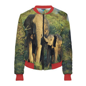 Женский бомбер 3D с принтом Слониха и слоненок в природе в Тюмени, 100% полиэстер | застегивается на молнию, по бокам два кармана без застежек, мягкие манжеты, по низу бомбера и на воротнике — эластичная резинка | африка | африканский | бивни | большой | гигант джунгли | зоопарк | индийский | индия | лесной великан | мамонт | огромный | саванна | сафари | серый | слон | слоненок | слониха | стадо | уши | хобот