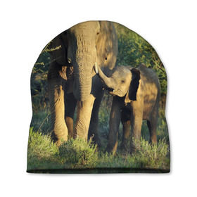 Шапка 3D с принтом Слониха и слоненок в природе в Тюмени, 100% полиэстер | универсальный размер, печать по всей поверхности изделия | африка | африканский | бивни | большой | гигант джунгли | зоопарк | индийский | индия | лесной великан | мамонт | огромный | саванна | сафари | серый | слон | слоненок | слониха | стадо | уши | хобот