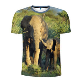 Мужская футболка 3D спортивная с принтом Слониха и слоненок в природе в Тюмени, 100% полиэстер с улучшенными характеристиками | приталенный силуэт, круглая горловина, широкие плечи, сужается к линии бедра | Тематика изображения на принте: африка | африканский | бивни | большой | гигант джунгли | зоопарк | индийский | индия | лесной великан | мамонт | огромный | саванна | сафари | серый | слон | слоненок | слониха | стадо | уши | хобот