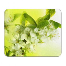 Коврик прямоугольный с принтом Цветы яблони в Тюмени, натуральный каучук | размер 230 х 185 мм; запечатка лицевой стороны | белый | весна | дерево | зеленый | природа | растения | цветы | яблоня