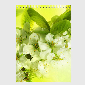Скетчбук с принтом Цветы яблони в Тюмени, 100% бумага
 | 48 листов, плотность листов — 100 г/м2, плотность картонной обложки — 250 г/м2. Листы скреплены сверху удобной пружинной спиралью | Тематика изображения на принте: белый | весна | дерево | зеленый | природа | растения | цветы | яблоня
