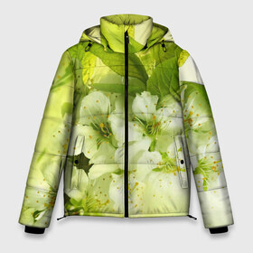 Мужская зимняя куртка 3D с принтом Цветы яблони в Тюмени, верх — 100% полиэстер; подкладка — 100% полиэстер; утеплитель — 100% полиэстер | длина ниже бедра, свободный силуэт Оверсайз. Есть воротник-стойка, отстегивающийся капюшон и ветрозащитная планка. 

Боковые карманы с листочкой на кнопках и внутренний карман на молнии. | белый | весна | дерево | зеленый | природа | растения | цветы | яблоня