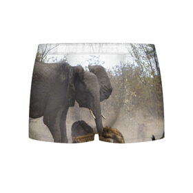 Мужские трусы 3D с принтом Гиены охотятся на слона в Тюмени, 50% хлопок, 50% полиэстер | классическая посадка, на поясе мягкая тканевая резинка | африка | африканский | бивни | большой | гигант джунгли | гиены | индийский | индия | лесной великан | мамонт | огромный | охота | саванна | сафари | серый | слон | слониха | стадо | уши | хобот