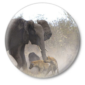 Значок с принтом Гиены охотятся на слона в Тюмени,  металл | круглая форма, металлическая застежка в виде булавки | африка | африканский | бивни | большой | гигант джунгли | гиены | индийский | индия | лесной великан | мамонт | огромный | охота | саванна | сафари | серый | слон | слониха | стадо | уши | хобот