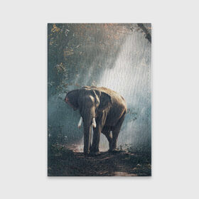 Обложка для паспорта матовая кожа с принтом Слон в лесу в Тюмени, натуральная матовая кожа | размер 19,3 х 13,7 см; прозрачные пластиковые крепления | африка | африканский | бивни | большой | гигант джунгли | зоопарк | индийский | индия | лесной великан | мамонт | огромный | саванна | сафари | серый | слон | слоненок | слониха | стадо | уши | хобот