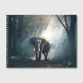 Альбом для рисования с принтом Слон в лесу в Тюмени, 100% бумага
 | матовая бумага, плотность 200 мг. | Тематика изображения на принте: африка | африканский | бивни | большой | гигант джунгли | зоопарк | индийский | индия | лесной великан | мамонт | огромный | саванна | сафари | серый | слон | слоненок | слониха | стадо | уши | хобот