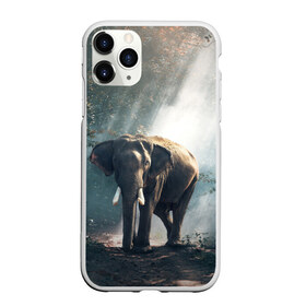 Чехол для iPhone 11 Pro матовый с принтом Слон в лесу в Тюмени, Силикон |  | Тематика изображения на принте: африка | африканский | бивни | большой | гигант джунгли | зоопарк | индийский | индия | лесной великан | мамонт | огромный | саванна | сафари | серый | слон | слоненок | слониха | стадо | уши | хобот
