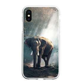 Чехол для iPhone XS Max матовый с принтом Слон в лесу в Тюмени, Силикон | Область печати: задняя сторона чехла, без боковых панелей | Тематика изображения на принте: африка | африканский | бивни | большой | гигант джунгли | зоопарк | индийский | индия | лесной великан | мамонт | огромный | саванна | сафари | серый | слон | слоненок | слониха | стадо | уши | хобот