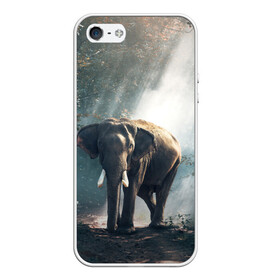 Чехол для iPhone 5/5S матовый с принтом Слон в лесу в Тюмени, Силикон | Область печати: задняя сторона чехла, без боковых панелей | африка | африканский | бивни | большой | гигант джунгли | зоопарк | индийский | индия | лесной великан | мамонт | огромный | саванна | сафари | серый | слон | слоненок | слониха | стадо | уши | хобот