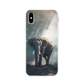 Чехол для Apple iPhone X силиконовый матовый с принтом Слон в лесу в Тюмени, Силикон | Печать на задней стороне чехла, без боковой панели | африка | африканский | бивни | большой | гигант джунгли | зоопарк | индийский | индия | лесной великан | мамонт | огромный | саванна | сафари | серый | слон | слоненок | слониха | стадо | уши | хобот