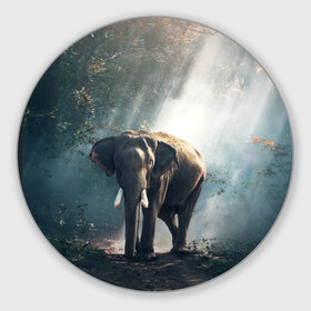 Коврик круглый с принтом Слон в лесу в Тюмени, резина и полиэстер | круглая форма, изображение наносится на всю лицевую часть | африка | африканский | бивни | большой | гигант джунгли | зоопарк | индийский | индия | лесной великан | мамонт | огромный | саванна | сафари | серый | слон | слоненок | слониха | стадо | уши | хобот