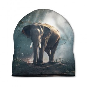 Шапка 3D с принтом Слон в лесу в Тюмени, 100% полиэстер | универсальный размер, печать по всей поверхности изделия | африка | африканский | бивни | большой | гигант джунгли | зоопарк | индийский | индия | лесной великан | мамонт | огромный | саванна | сафари | серый | слон | слоненок | слониха | стадо | уши | хобот