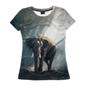Женская футболка 3D с принтом Слон в лесу в Тюмени, 100% полиэфир ( синтетическое хлопкоподобное полотно) | прямой крой, круглый вырез горловины, длина до линии бедер | африка | африканский | бивни | большой | гигант джунгли | зоопарк | индийский | индия | лесной великан | мамонт | огромный | саванна | сафари | серый | слон | слоненок | слониха | стадо | уши | хобот