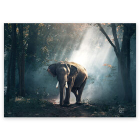 Поздравительная открытка с принтом Слон в лесу в Тюмени, 100% бумага | плотность бумаги 280 г/м2, матовая, на обратной стороне линовка и место для марки
 | Тематика изображения на принте: африка | африканский | бивни | большой | гигант джунгли | зоопарк | индийский | индия | лесной великан | мамонт | огромный | саванна | сафари | серый | слон | слоненок | слониха | стадо | уши | хобот