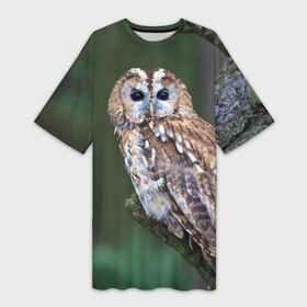Платье-футболка 3D с принтом Сова в Тюмени,  |  | глаза | клюв | когти | крылья | лес | летать | мудрая | мудрость | неясыть | ночная | ночь | охота | перья | полярная | почтовая | птица | серая | сова | совенок | сон | сыч | умная | филин | хищник