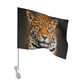 Флаг для автомобиля с принтом Jaguar в Тюмени, 100% полиэстер | Размер: 30*21 см | глаза | дикая кошка | кошка | леопард | сафари | хищник | ягуар