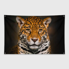 Флаг-баннер с принтом Jaguar в Тюмени, 100% полиэстер | размер 67 х 109 см, плотность ткани — 95 г/м2; по краям флага есть четыре люверса для крепления | глаза | дикая кошка | кошка | леопард | сафари | хищник | ягуар
