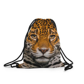 Рюкзак-мешок 3D с принтом Jaguar в Тюмени, 100% полиэстер | плотность ткани — 200 г/м2, размер — 35 х 45 см; лямки — толстые шнурки, застежка на шнуровке, без карманов и подкладки | глаза | дикая кошка | кошка | леопард | сафари | хищник | ягуар