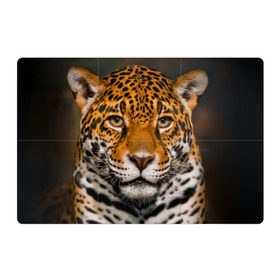 Магнитный плакат 3Х2 с принтом Jaguar в Тюмени, Полимерный материал с магнитным слоем | 6 деталей размером 9*9 см | глаза | дикая кошка | кошка | леопард | сафари | хищник | ягуар