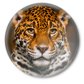 Значок с принтом Jaguar в Тюмени,  металл | круглая форма, металлическая застежка в виде булавки | глаза | дикая кошка | кошка | леопард | сафари | хищник | ягуар