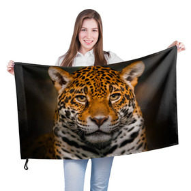 Флаг 3D с принтом Jaguar в Тюмени, 100% полиэстер | плотность ткани — 95 г/м2, размер — 67 х 109 см. Принт наносится с одной стороны | глаза | дикая кошка | кошка | леопард | сафари | хищник | ягуар