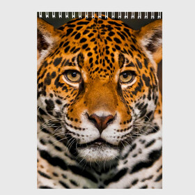Скетчбук с принтом Jaguar в Тюмени, 100% бумага
 | 48 листов, плотность листов — 100 г/м2, плотность картонной обложки — 250 г/м2. Листы скреплены сверху удобной пружинной спиралью | глаза | дикая кошка | кошка | леопард | сафари | хищник | ягуар