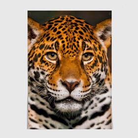 Постер с принтом Jaguar в Тюмени, 100% бумага
 | бумага, плотность 150 мг. Матовая, но за счет высокого коэффициента гладкости имеет небольшой блеск и дает на свету блики, но в отличии от глянцевой бумаги не покрыта лаком | глаза | дикая кошка | кошка | леопард | сафари | хищник | ягуар