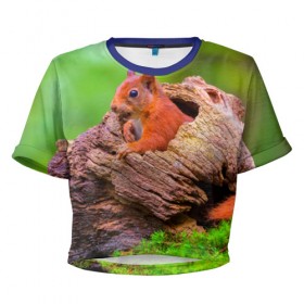 Женская футболка 3D укороченная с принтом Белка в Тюмени, 100% полиэстер | круглая горловина, длина футболки до линии талии, рукава с отворотами | белка | животные | лес | милая | природа | яркая