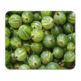 Коврик прямоугольный с принтом Крыжовник в Тюмени, натуральный каучук | размер 230 х 185 мм; запечатка лицевой стороны | еда | зеленый | крыжовник | растения | текстура | фрукты | ягоды