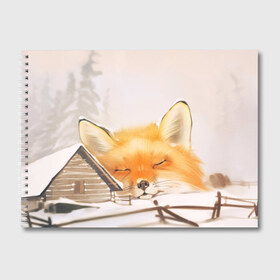 Альбом для рисования с принтом Сон в Тюмени, 100% бумага
 | матовая бумага, плотность 200 мг. | Тематика изображения на принте: fox | red | лиса | лисенок | рыжая