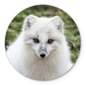 Коврик круглый с принтом White Fox в Тюмени, резина и полиэстер | круглая форма, изображение наносится на всю лицевую часть | Тематика изображения на принте: fox | red | лиса | лисенок | рыжая