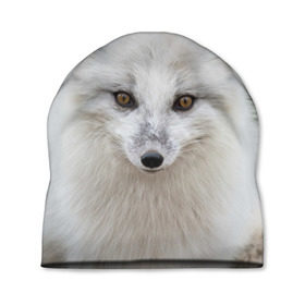 Шапка 3D с принтом White Fox в Тюмени, 100% полиэстер | универсальный размер, печать по всей поверхности изделия | fox | red | лиса | лисенок | рыжая